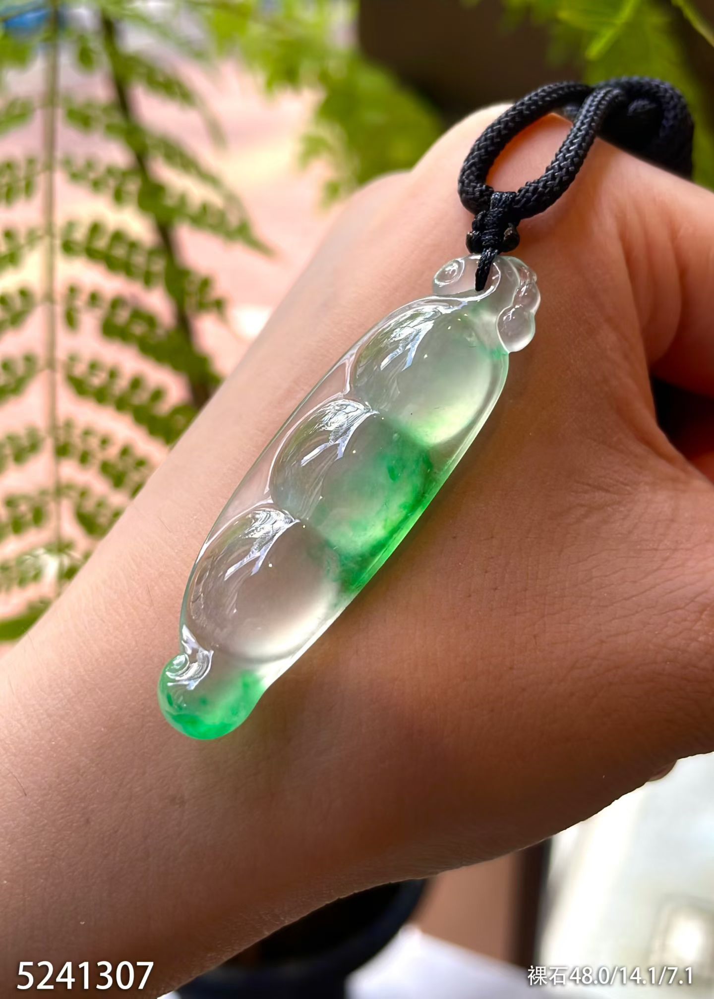 Glassy Jadeite Fu Dou (The Chinese Four-Season Bean, 23g) view 2