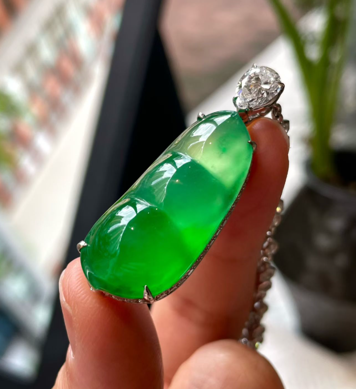 Glassy Sweet Yang Green Jadeite "Four-Season Bean" Pendant view 4