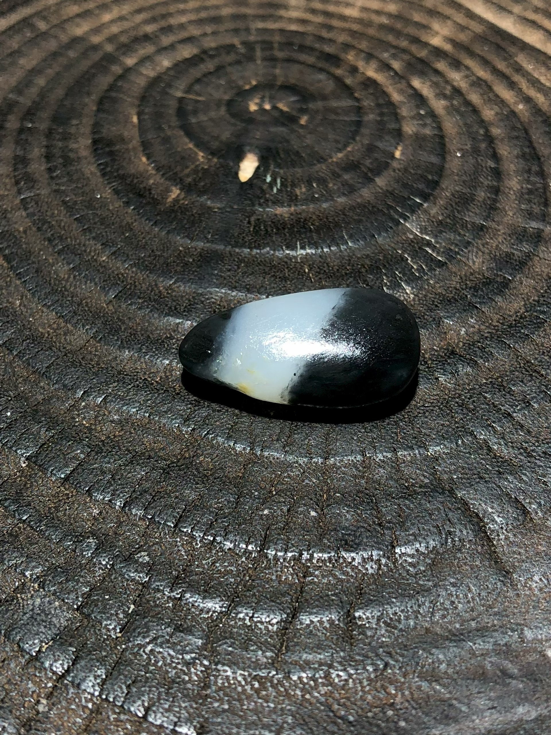 Collector's Lonely Stone – Qinghua (4.2g)