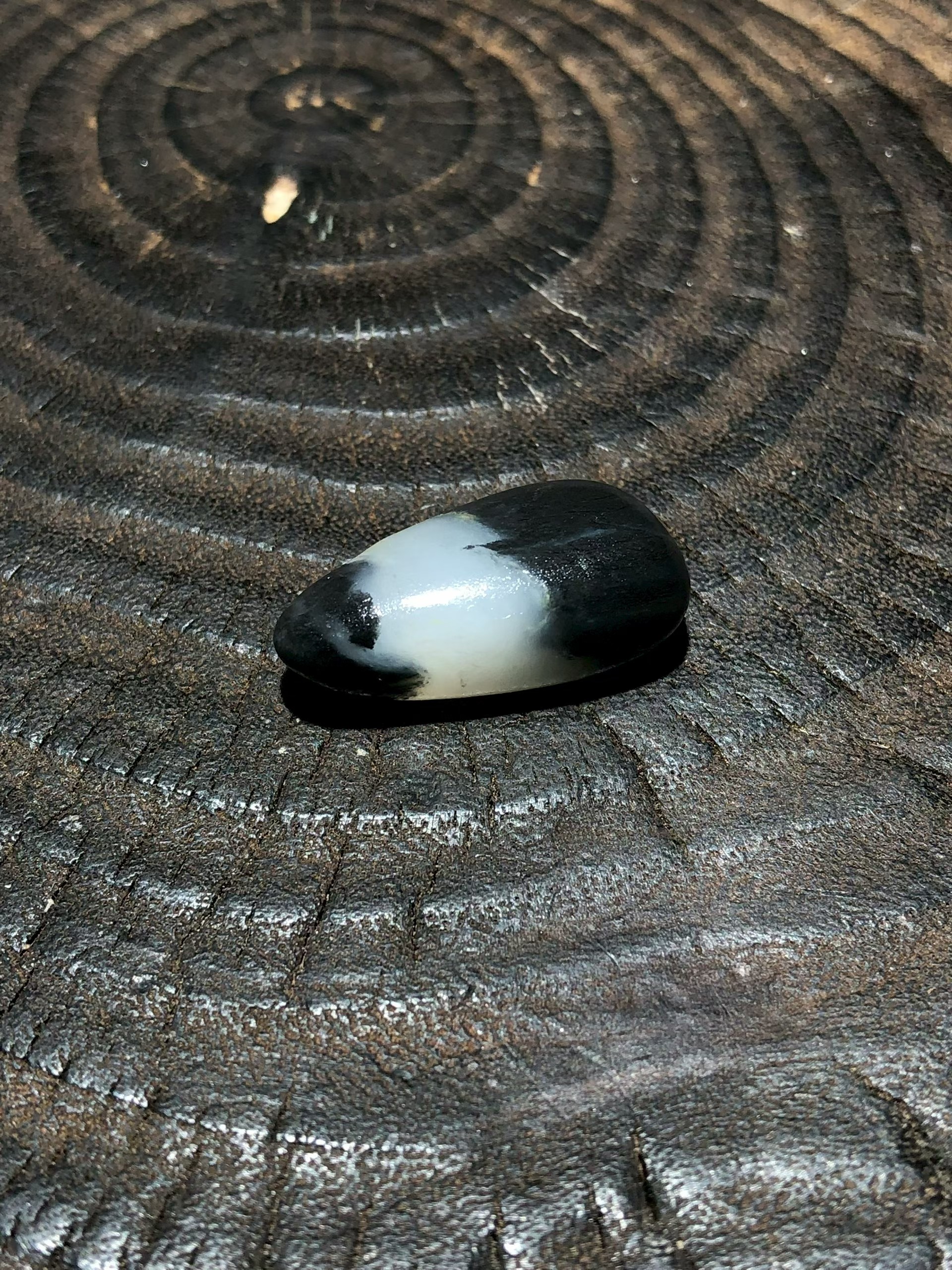 View product image 1