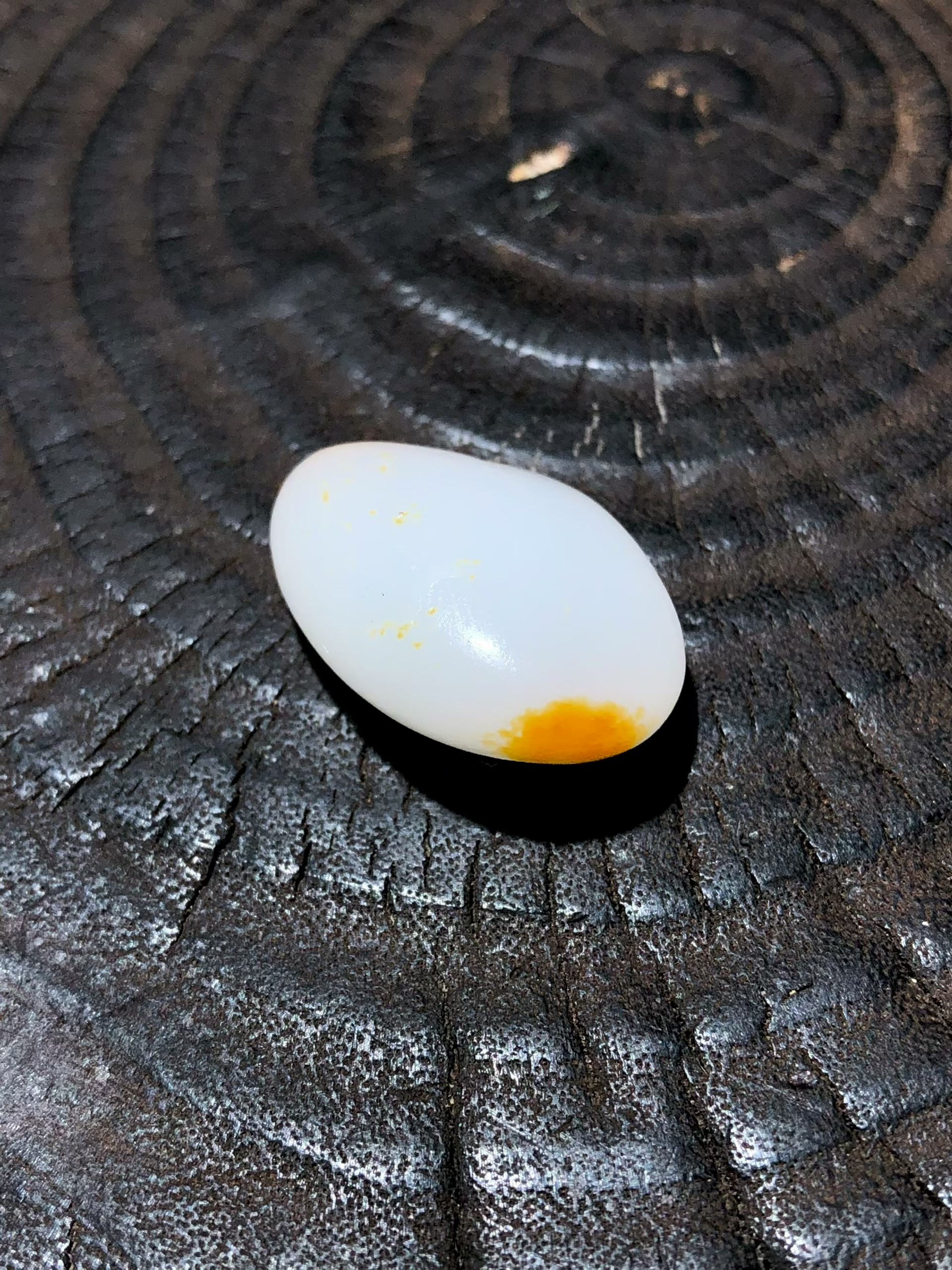 View product image 5
